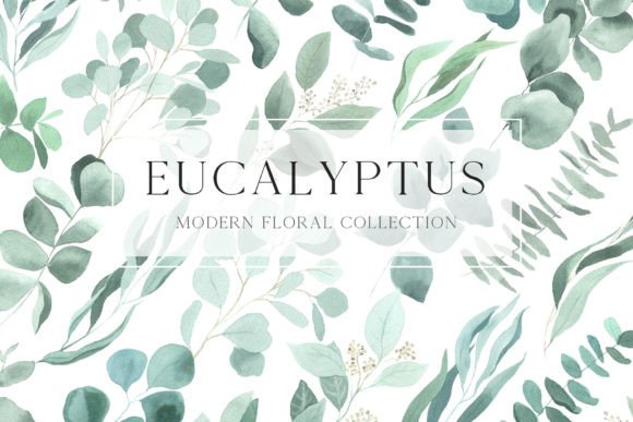 Download Watercolor Eucalyptus Leaves Clipart PNG - Leaves Collection